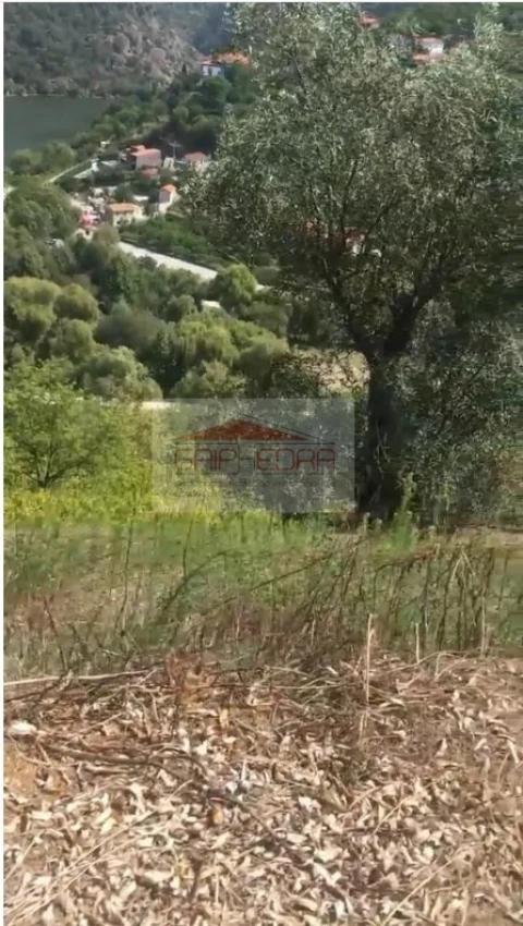 Terreno para Venda em São Martinho de Mouros
