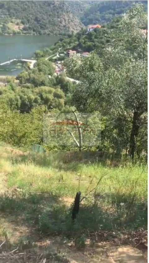 Terreno para Venda em São Martinho de Mouros