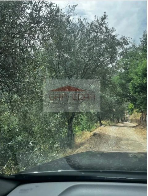 Terreno para Venda em São Martinho de Mouros