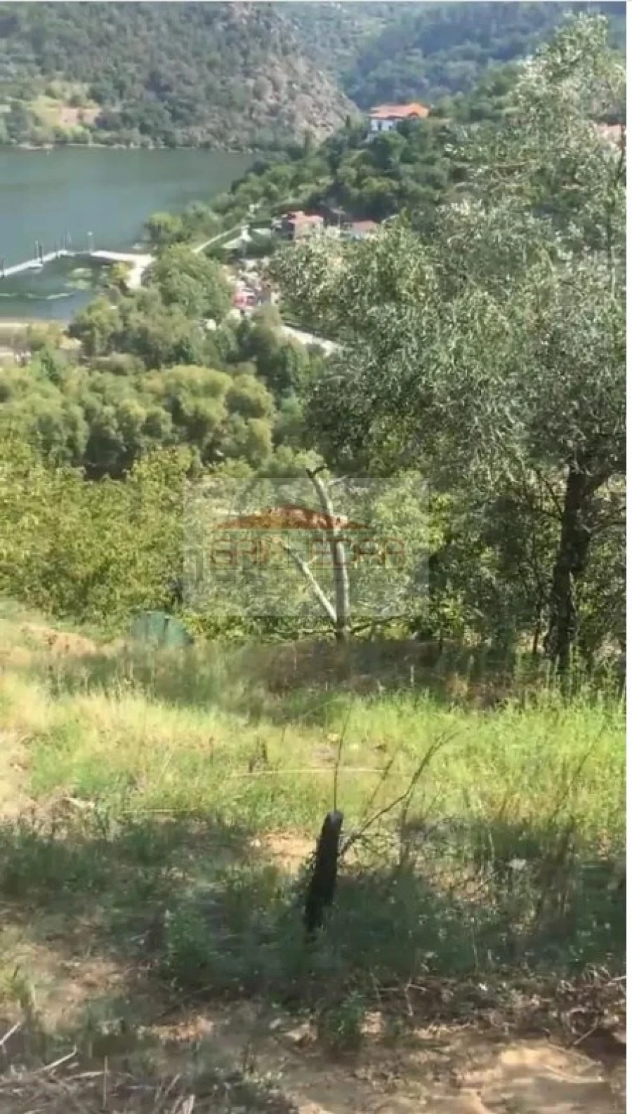 Terreno para Venda em São Martinho de Mouros Foto 4