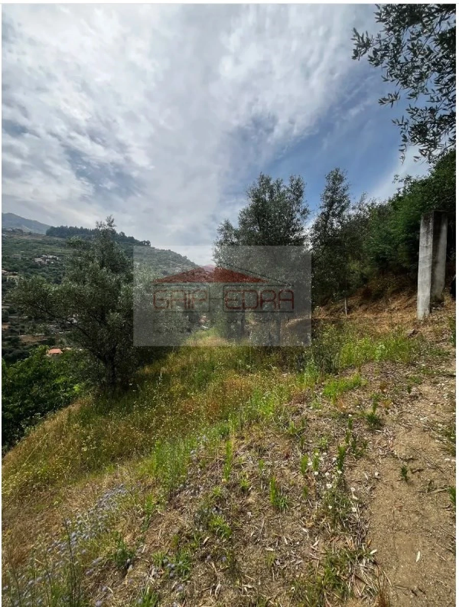 Terreno para Venda em São Martinho de Mouros Foto 5