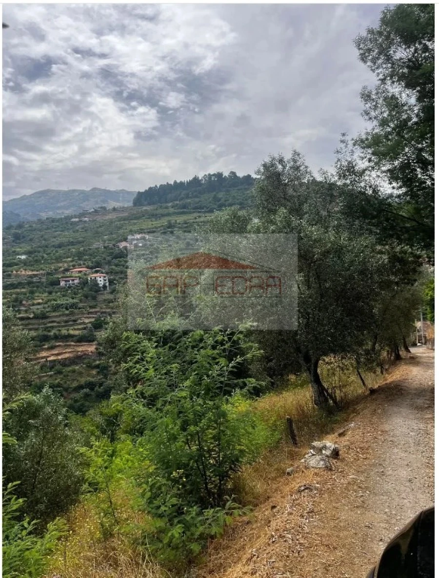 Terreno para Venda em São Martinho de Mouros Foto 10