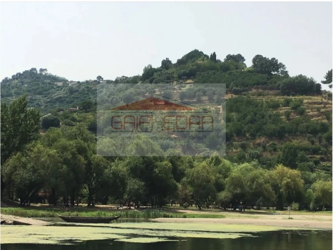 Terreno para Venda em São Martinho de Mouros Foto 11