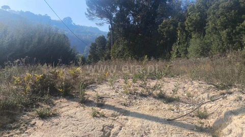 Terreno para Venda em Vila Boa do Bispo