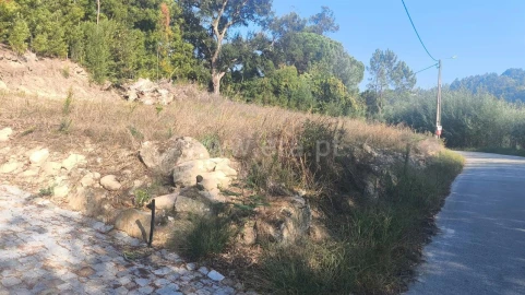 Terreno para Venda em Vila Boa do Bispo