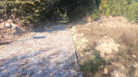 Terreno para Venda em Vila Boa do Bispo