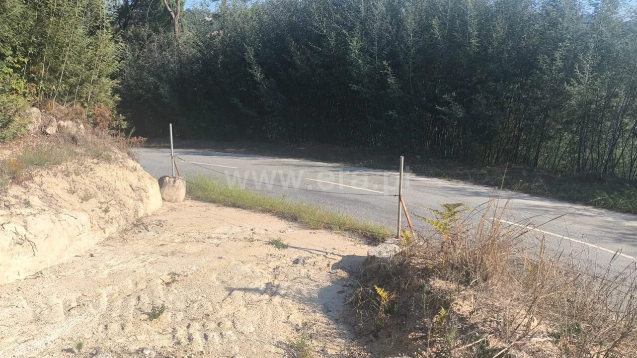 Terreno para Venda em Vila Boa do Bispo Foto 9