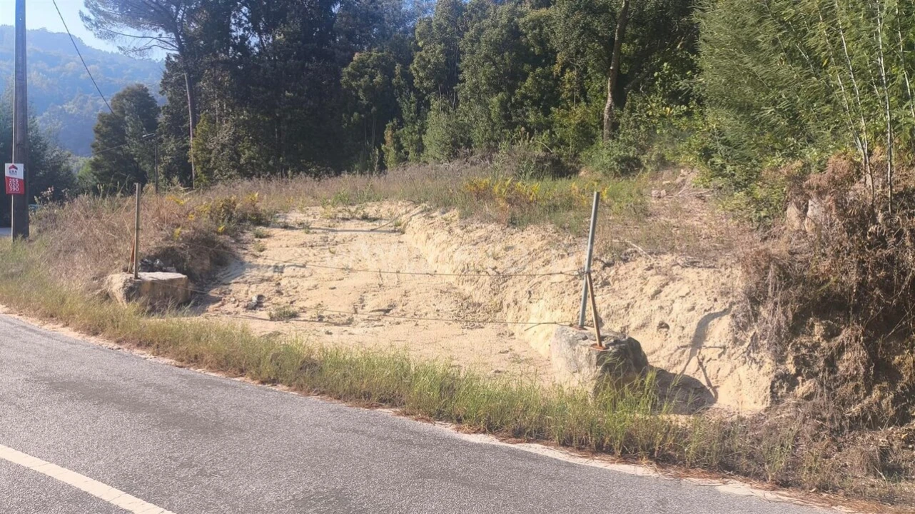 Terreno para Venda em Vila Boa do Bispo Foto 3