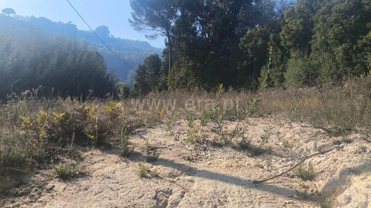Terreno para Venda em Vila Boa do Bispo Foto 2
