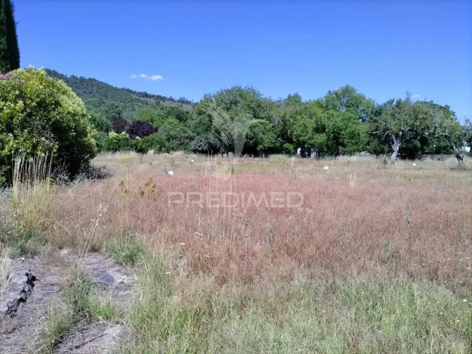 Quinta T0 para Venda em São Salvador da Aramenha Foto 6
