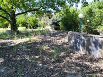 Quinta T0 para Venda em São Salvador da Aramenha