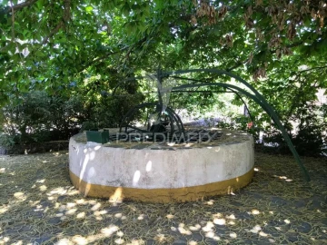 Quinta T0 para Venda em São Salvador da Aramenha