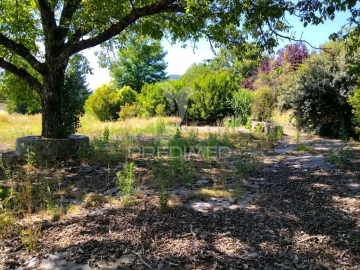 Quinta T0 para Venda em São Salvador da Aramenha