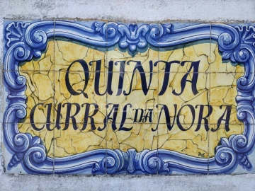 Quinta T0 para Venda em São Salvador da Aramenha