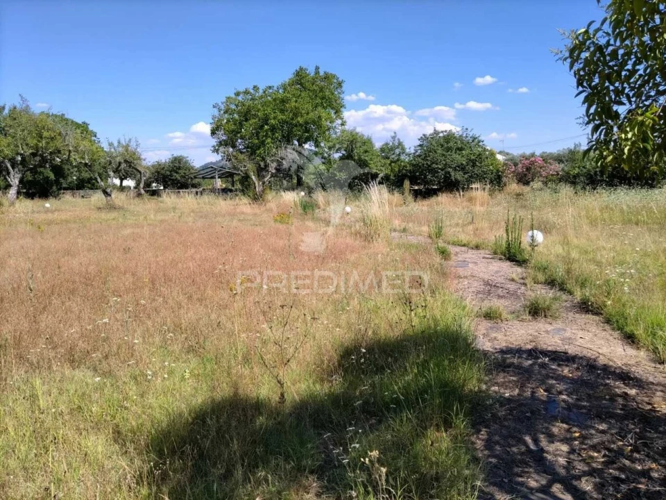 Quinta T0 para Venda em São Salvador da Aramenha Foto 11