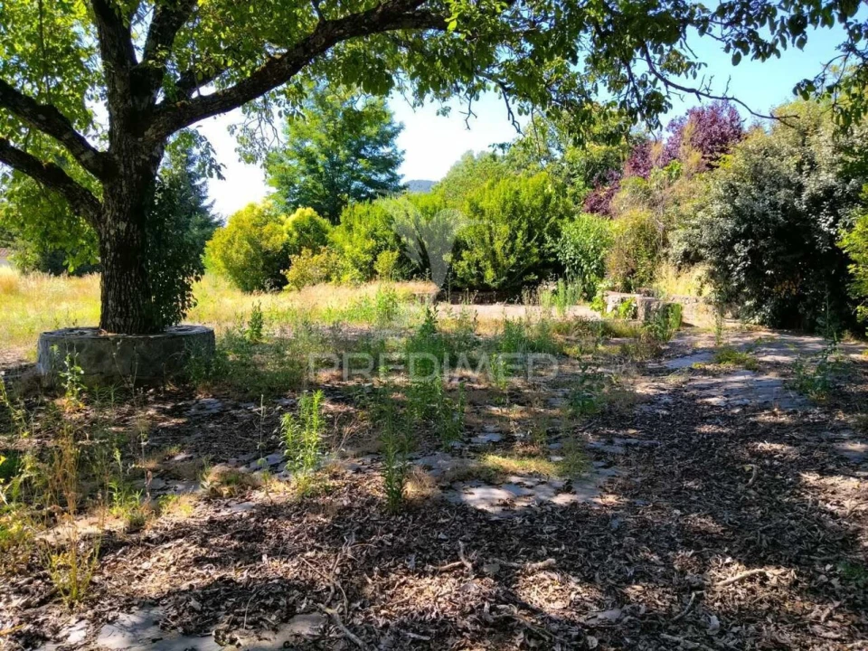 Quinta T0 para Venda em São Salvador da Aramenha Foto 10
