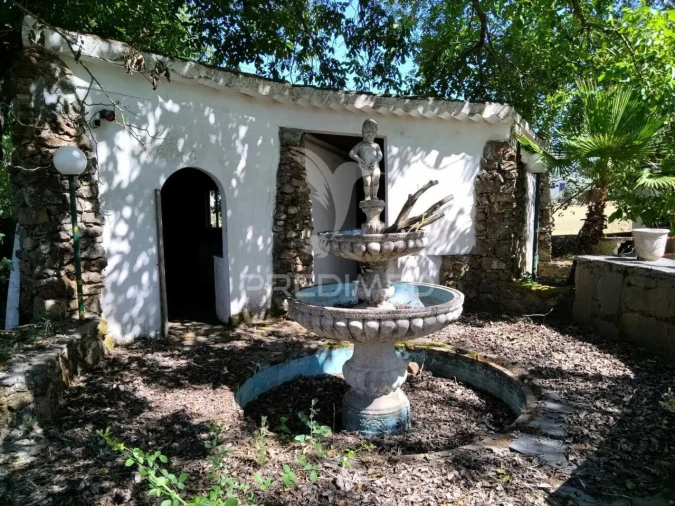 Quinta T0 para Venda em São Salvador da Aramenha Foto 9