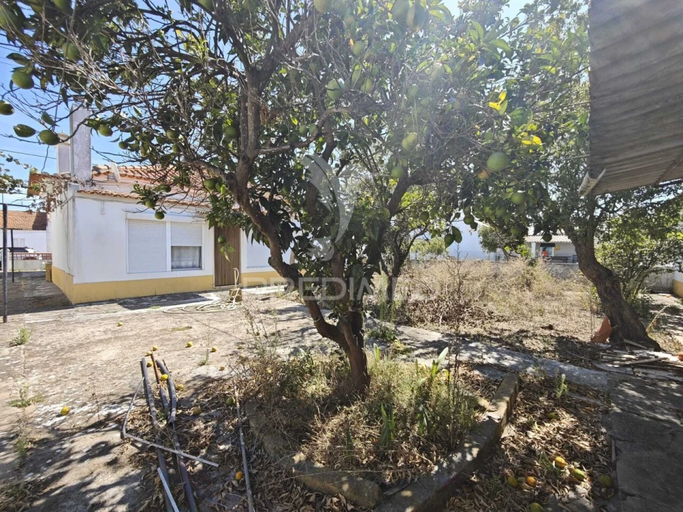 Moradia T3 para Venda em Santo Estêvão Foto 19