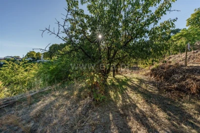 Terreno para Venda em Tortosendo