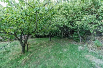 Terreno para Venda em Tortosendo