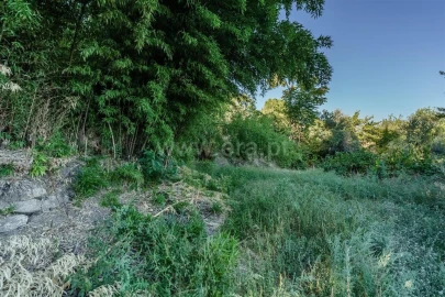 Terreno para Venda em Tortosendo