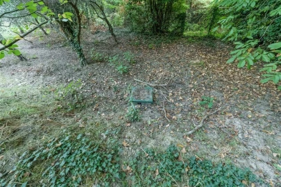 Terreno para Venda em Tortosendo