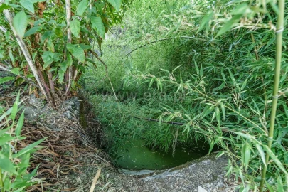 Terreno para Venda em Tortosendo