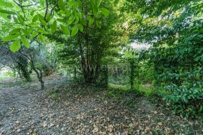 Terreno para Venda em Tortosendo