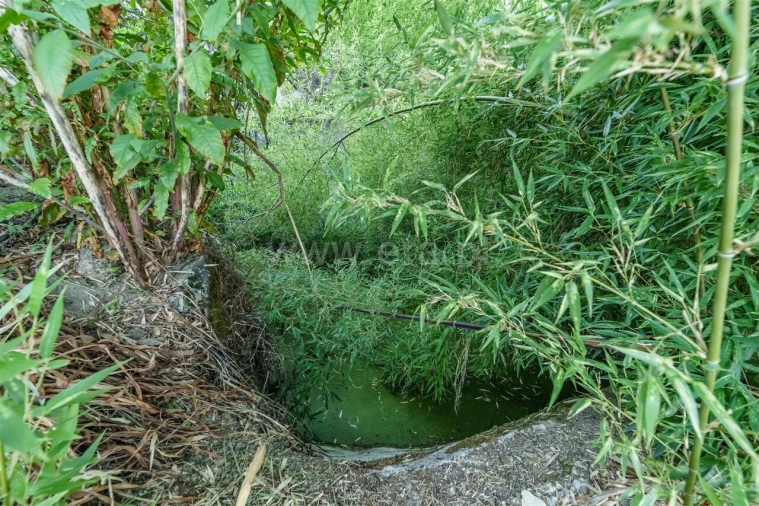 Terreno para Venda em Tortosendo Foto 12