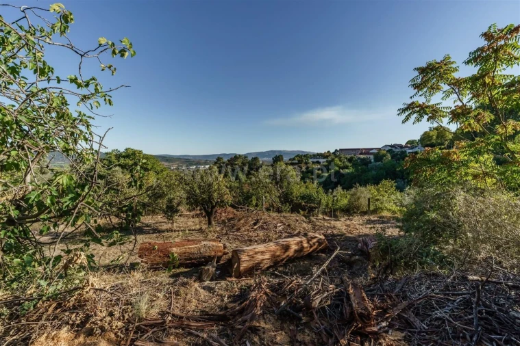 Terreno para Venda em Tortosendo Foto 3