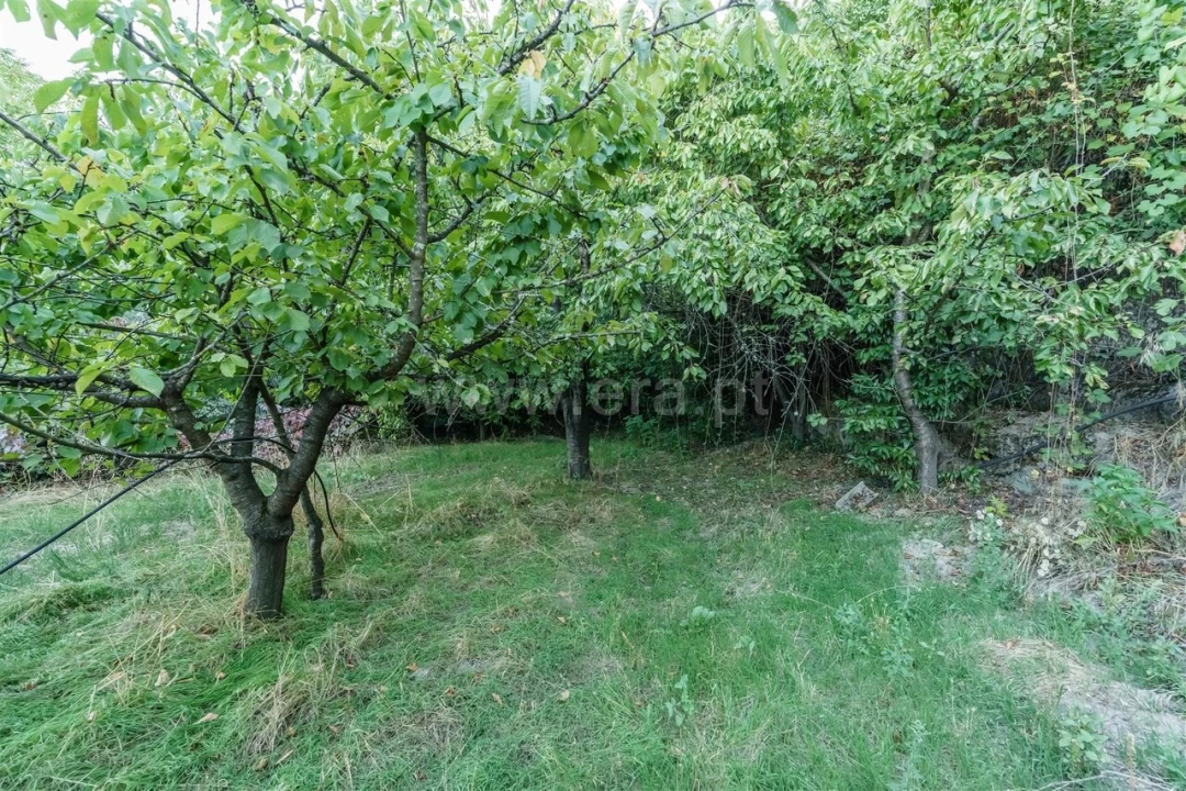 Terreno para Venda em Tortosendo Foto 9