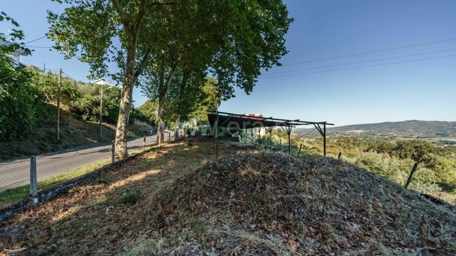 Terreno para Venda em Tortosendo