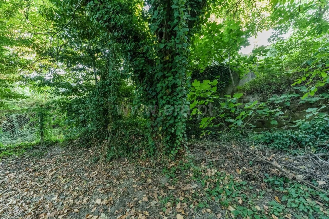 Terreno para Venda em Tortosendo Foto 7