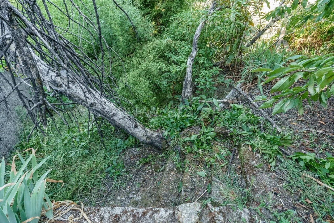 Terreno para Venda em Tortosendo Foto 10