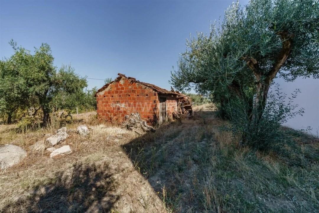 Terreno para Venda em Fundão, Valverde, Donas, A. Joanes, A. Nova Cabo Foto 5