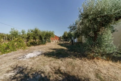 Terreno para Venda em Fundão, Valverde, Donas, A. Joanes, A. Nova Cabo