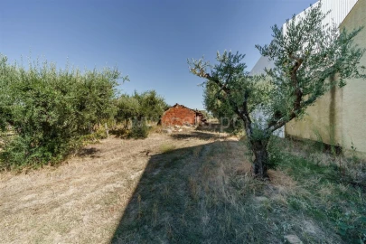 Terreno para Venda em Fundão, Valverde, Donas, A. Joanes, A. Nova Cabo