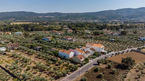 Terreno para Venda em Fundão, Valverde, Donas, A. Joanes, A. Nova Cabo