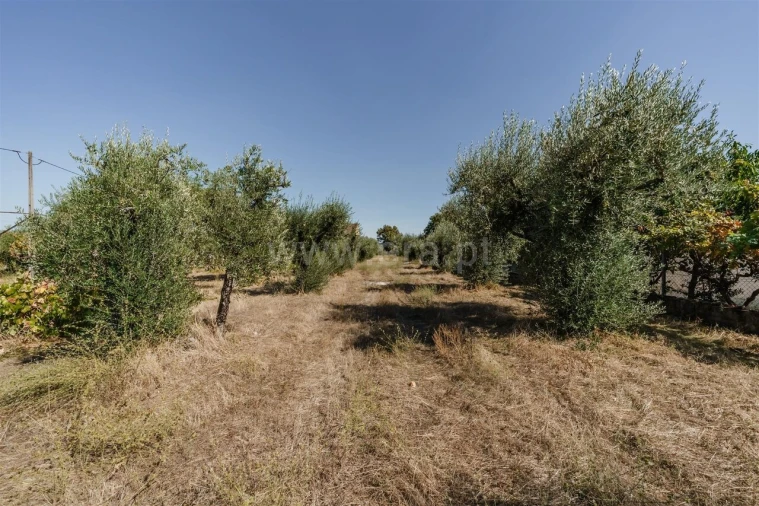 Terreno para Venda em Fundão, Valverde, Donas, A. Joanes, A. Nova Cabo Foto 7