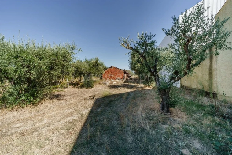 Terreno para Venda em Fundão, Valverde, Donas, A. Joanes, A. Nova Cabo Foto 4