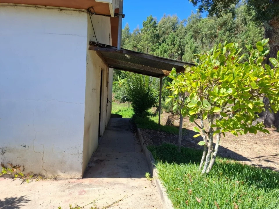 Moradia T3 para Venda em São Miguel do Mato Foto 3