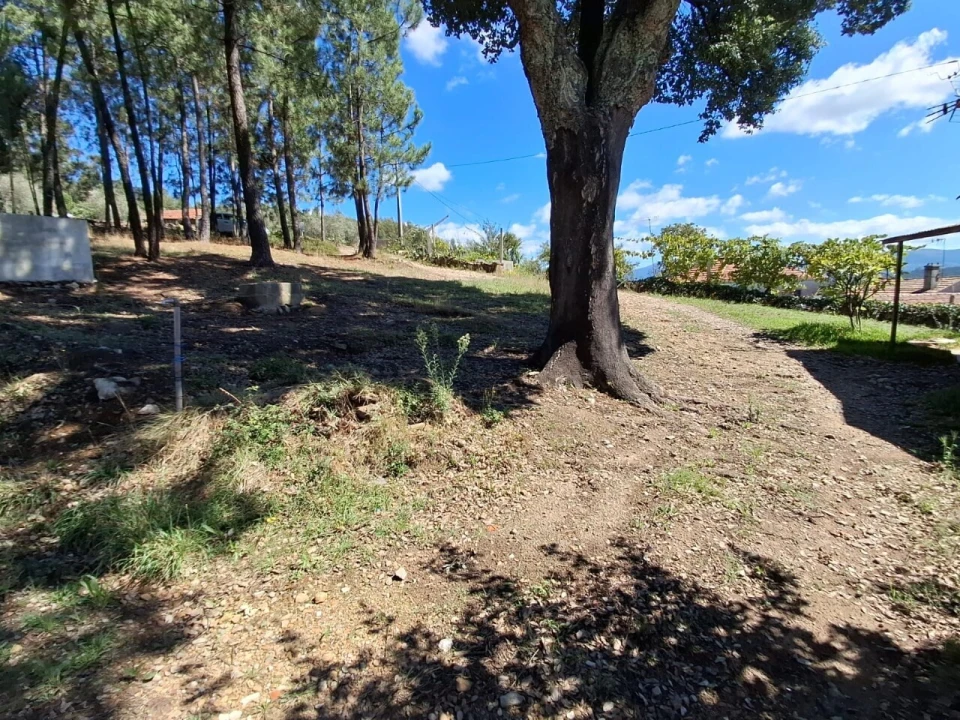 Moradia T3 para Venda em São Miguel do Mato Foto 12