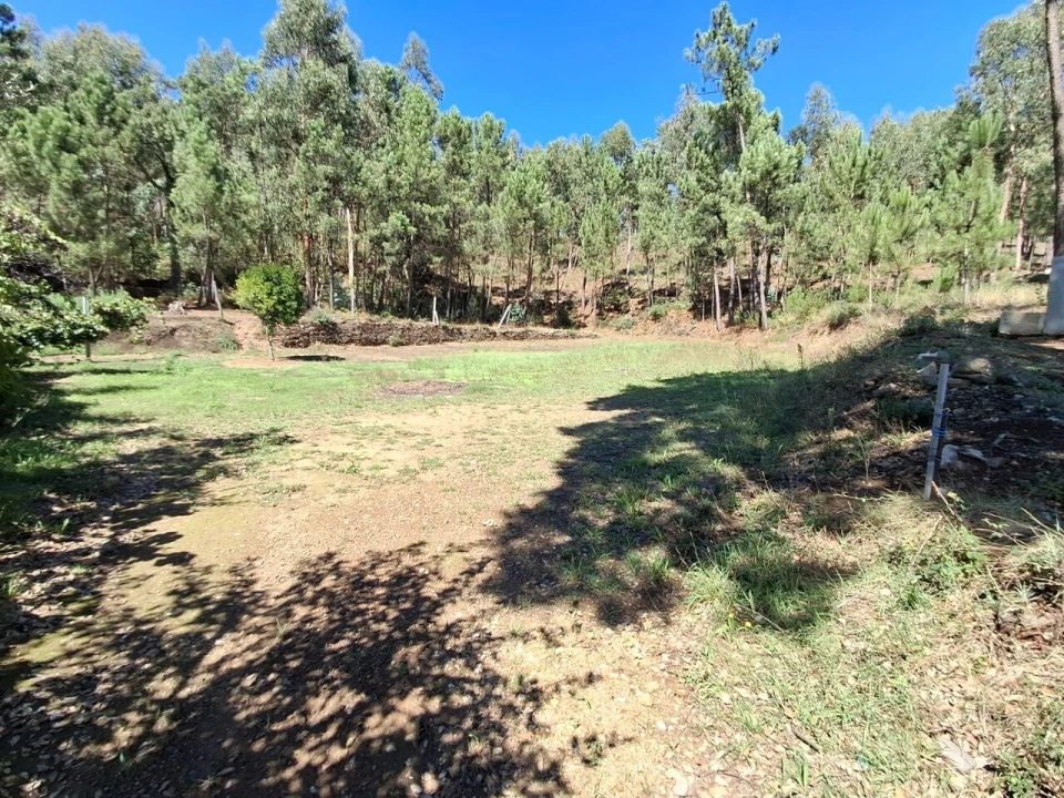 Moradia T3 para Venda em São Miguel do Mato Foto 13