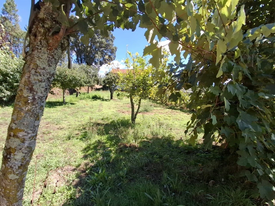 Moradia T3 para Venda em São Miguel do Mato Foto 20