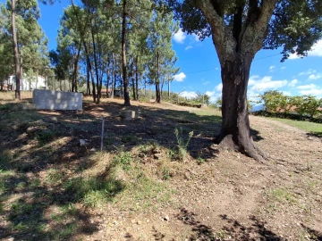 Moradia T3 para Venda em São Miguel do Mato
