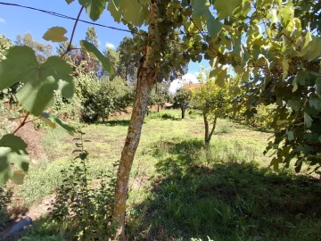 Moradia T3 para Venda em São Miguel do Mato