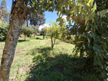 Moradia T3 para Venda em São Miguel do Mato
