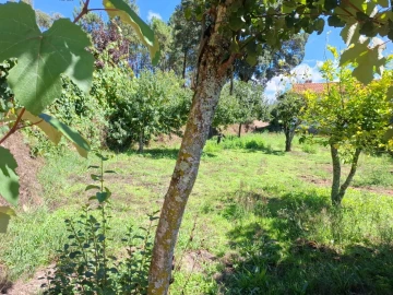 Moradia T3 para Venda em São Miguel do Mato