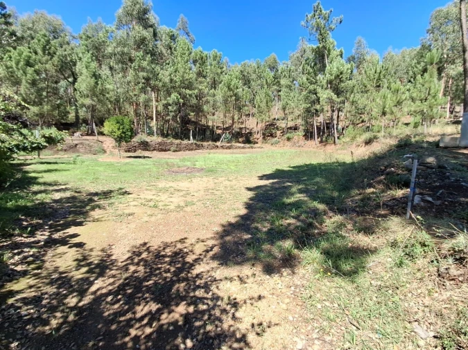 Moradia T3 para Venda em São Miguel do Mato Foto 13