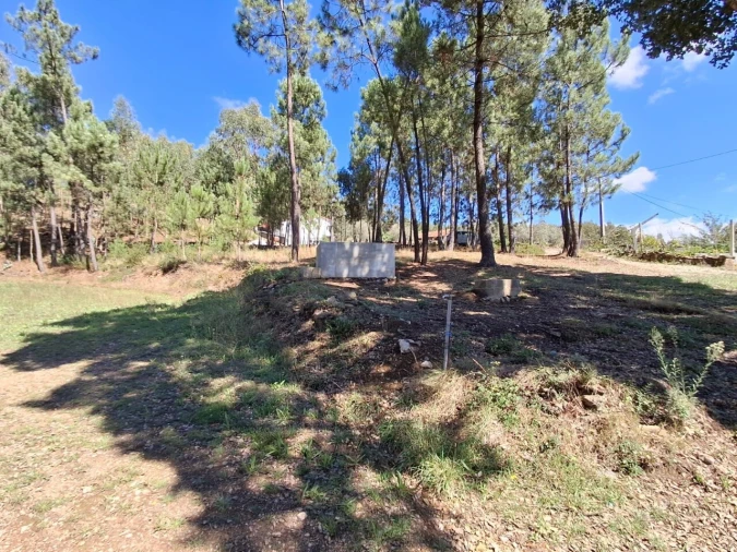 Moradia T3 para Venda em São Miguel do Mato Foto 14